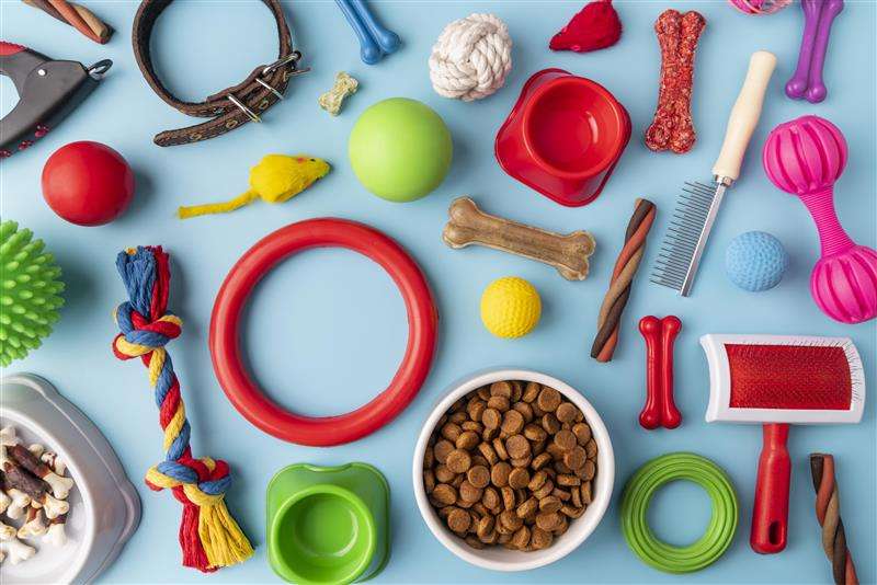 pet-accessories-still-life-concept-with-colorful-objects