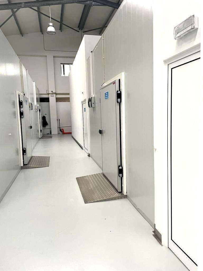 Imagem WhatsApp 2025-08-01 às 15.22.04_90fab6f2