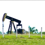 Águila Energia fecha compra de quatro campos de petróleo terrestres na Bahia