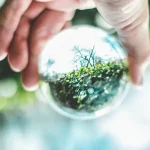 BNDES aporta R$ 85,9 milhões na gaúcha Bioo