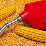 Ao Cade, dono da Inpasa diz que posição na Vibra não representa controle