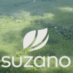Comando da Suzano considera venda de ativos menores para adicionar valor à companhia