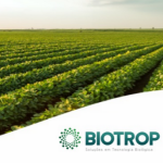Grupo Biofirst se reorganiza e subsidiária Biotrop absorve área de biológicos para hortaliças