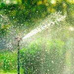 Wallerius Seguros adquire 100% da Ativa Agro