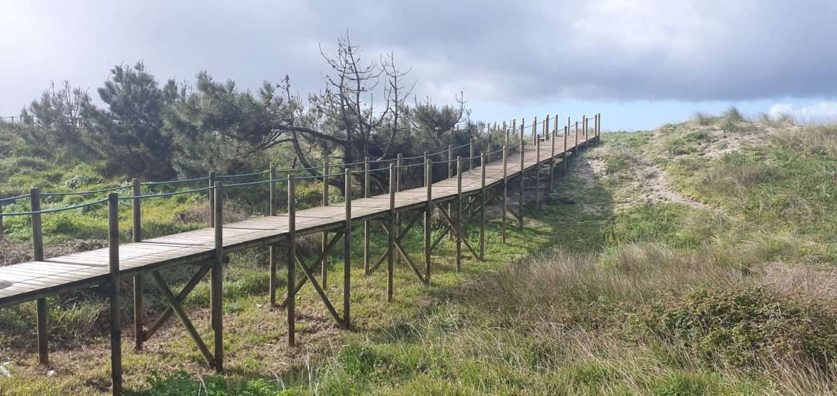 WhatsApp Image 2024-04-22 at 09.06.18